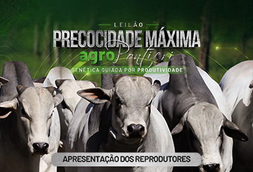 LIVE APRESENTAÇÃO DOS REPRODUTORES -  AGROPONTIERI